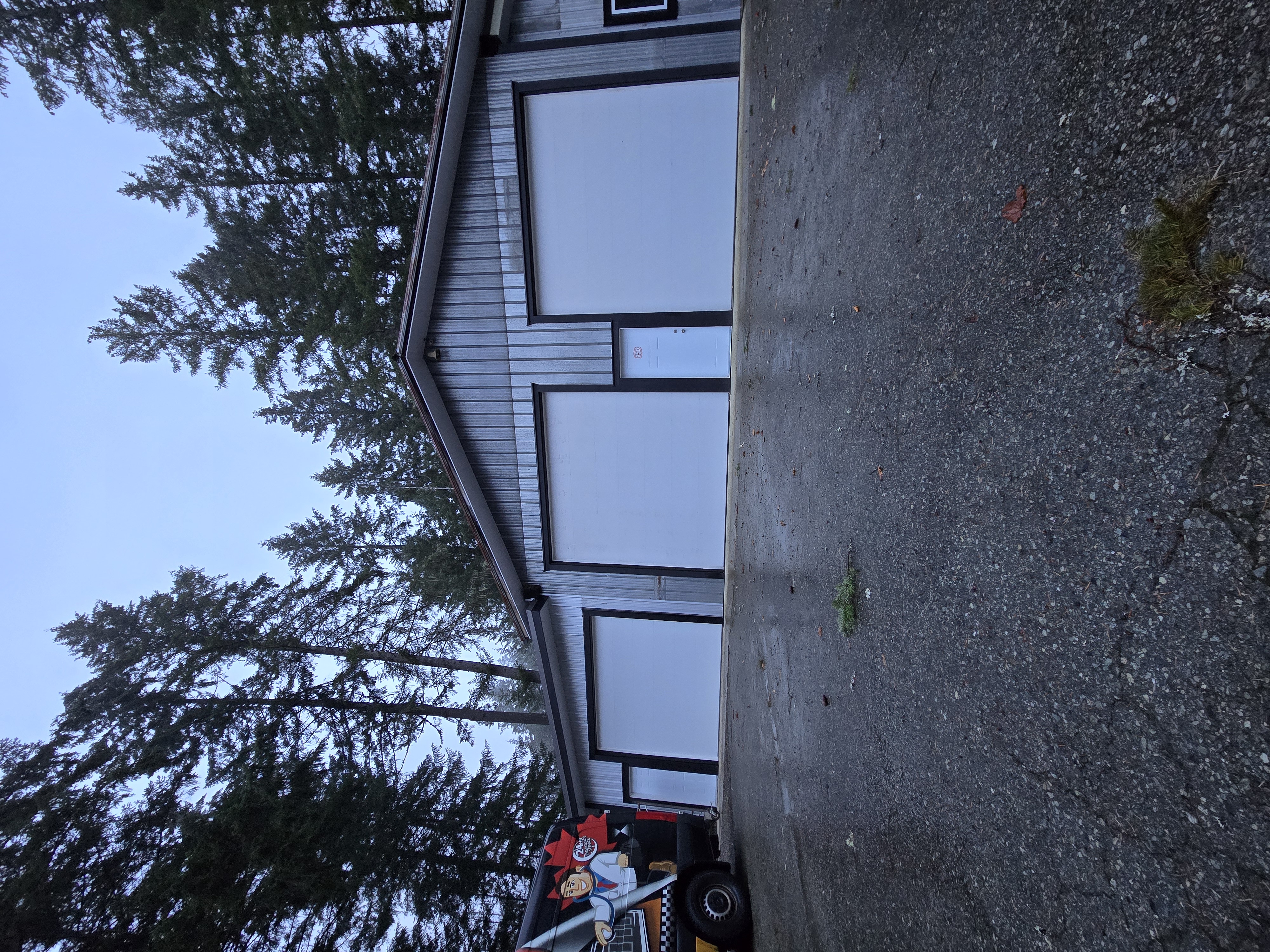 Garage door project