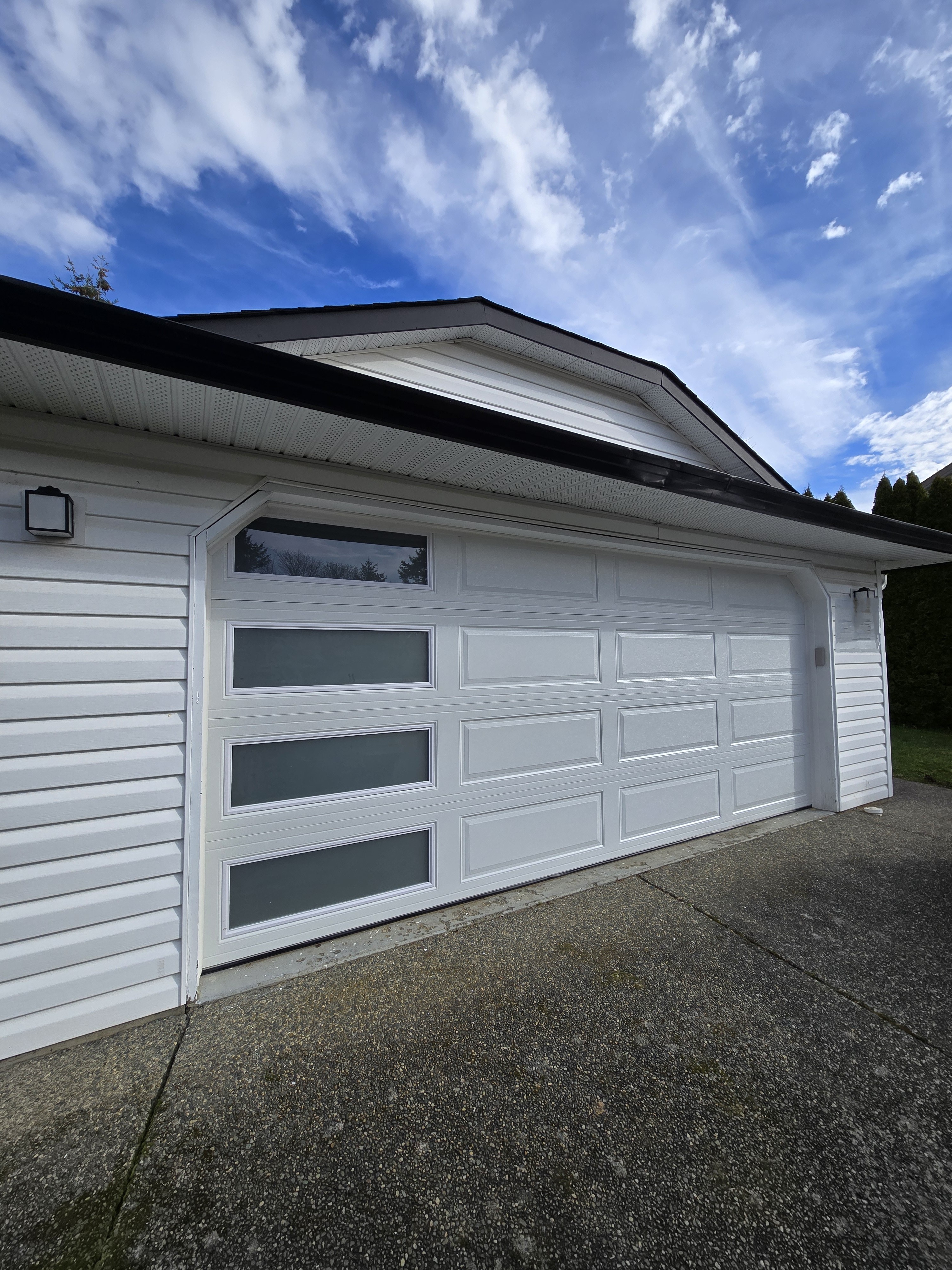 Garage door project